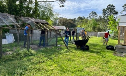 Outer Banks Wildlife Shelter, Inc