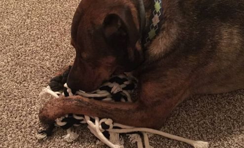 Crawford County Humane Society