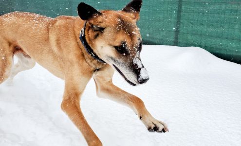 Columbia Humane Society