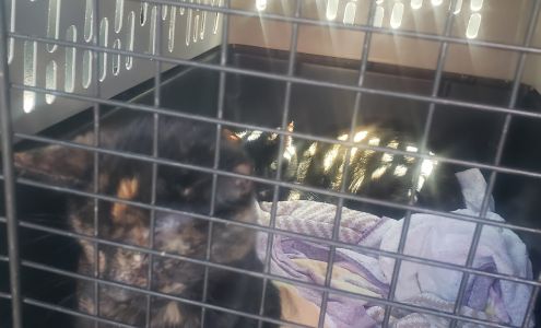 Montgomery County SPCA