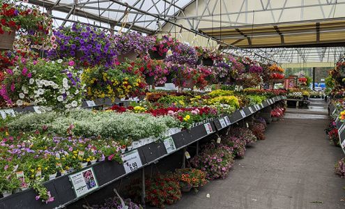 Stauffers of Kissel Hill Home & Garden Store