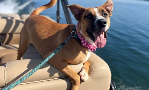 Oconee Humane Society