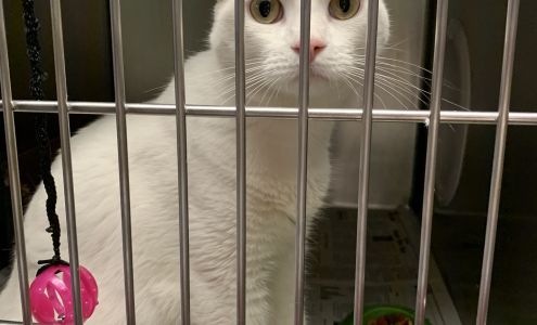 The Humane Society of North Myrtle Beach