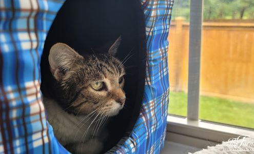 The Farm At Natchez Trace