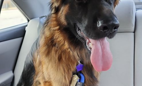 Lucky Puppy Grooming & Supply