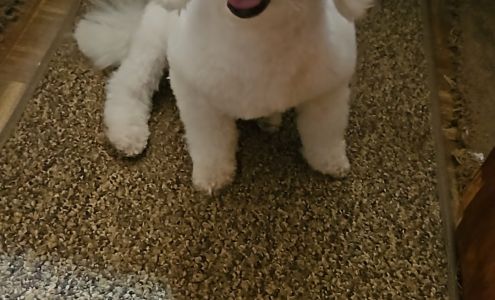 Mutts Makeover Salon