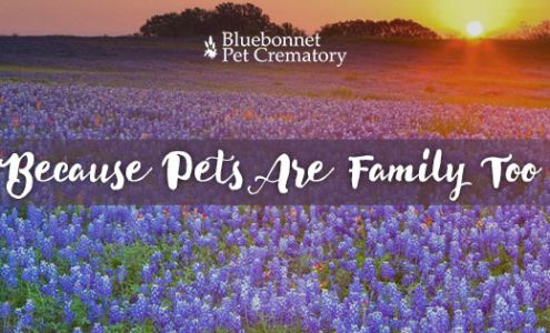 Bluebonnet Pet Crematory