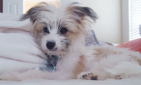 Happy Day Humane Society