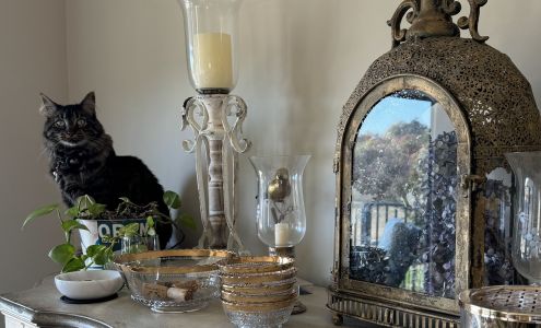 Hood County Animal Control