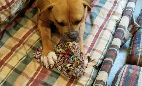 Olympic Peninsula Humane Society Barkhouse