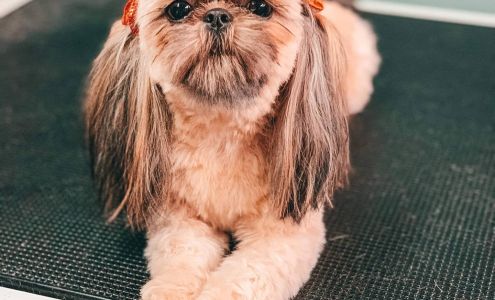 Happy Pooch Styling & Spa