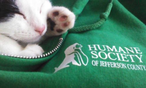 Humane Society Of Jefferson County