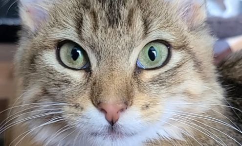 Sauk County Humane Society