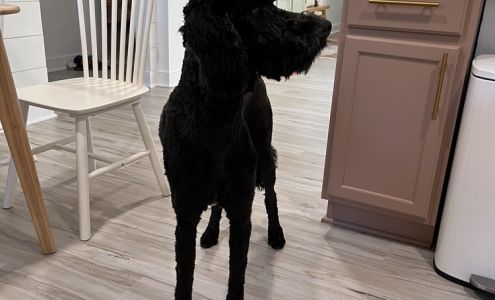 Petpourri Egg Harbor