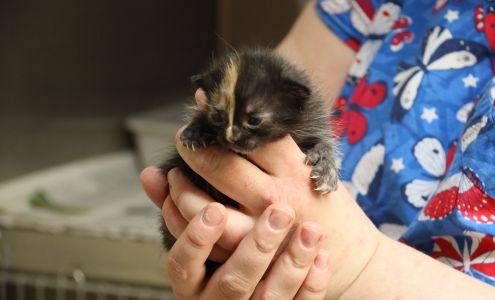 Casper Metro Animal Control Center