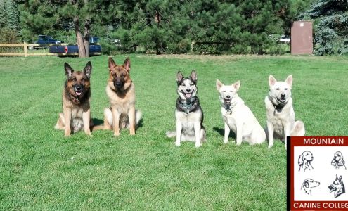 Mountain Canine College