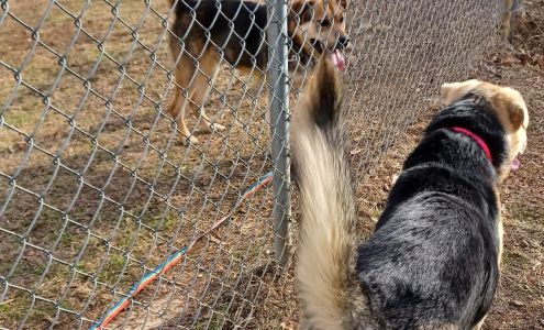 Greater Huntsville Humane Society