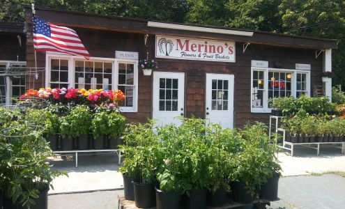 Merino's Flowers & Gourmet Fruit Baskets