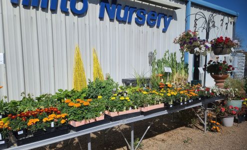 Rillito Nursery & Garden Center