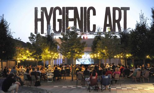 Hygienic Art