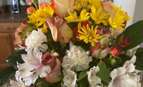 Amy's Little Plant Co. - Phoenix Flower Delivery