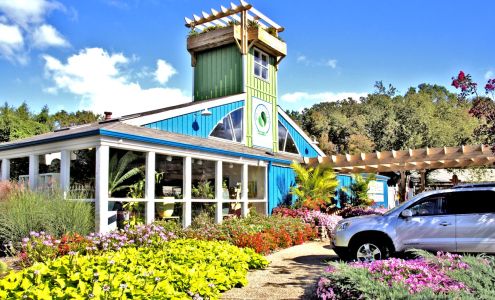 Plantopia Home and Garden