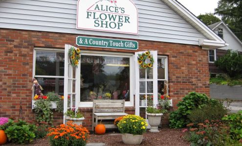 Alice's Flower Shop