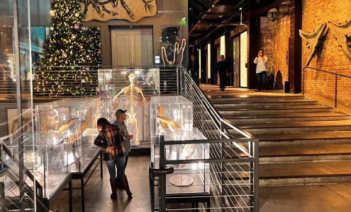 Signature Gallery of Savannah