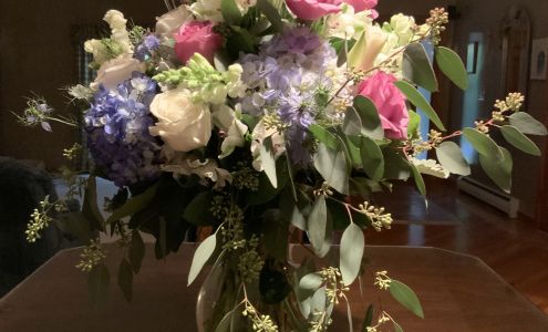 Wildflowers of Tolland