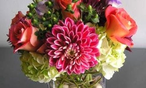 East Longmeadow House of Flowers - Since 1970