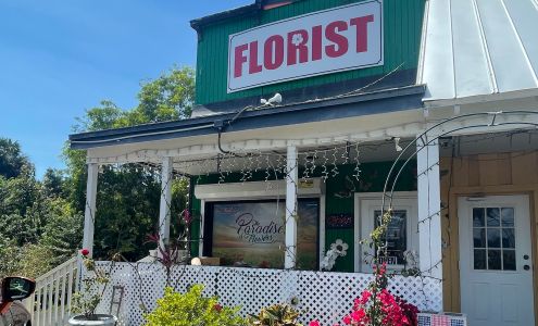 The Paradise Of Flowers