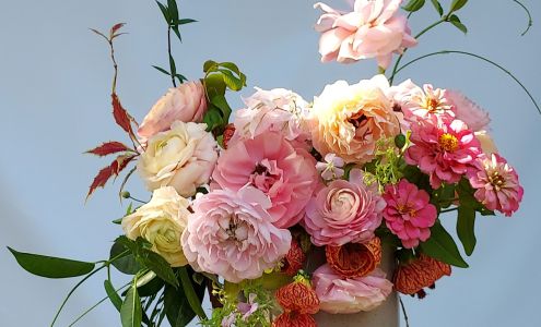 Petals of Boca Raton Florist