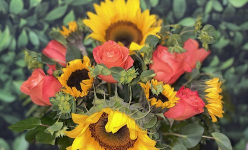 Rosie's Floral Expression