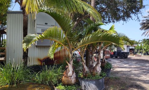 Pro Gardens Tree Farm