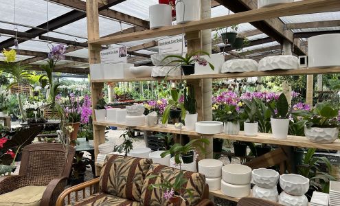 Bamboo And Orchid Gardens