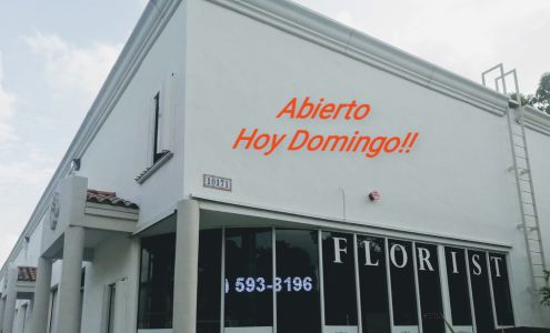 Doral Roses Miami