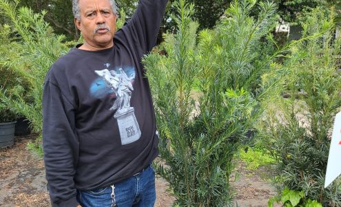 Lee's Tree & Landscaping Nursery