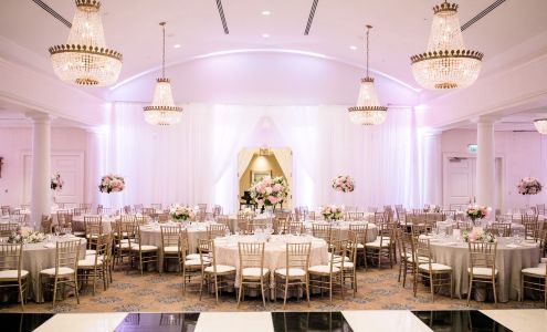 Tulip - Blooming Creations