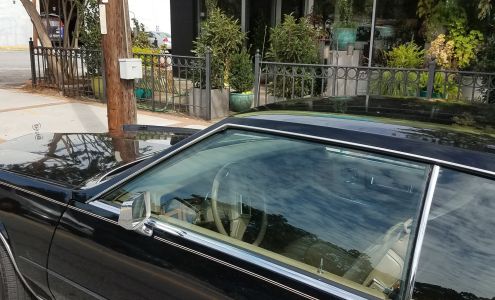 2000 A.D. Inc., Concepts In Floral Art