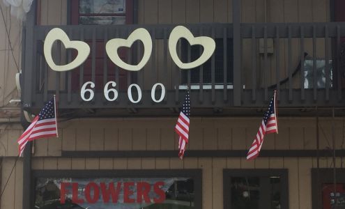 Sandy Springs Flowers