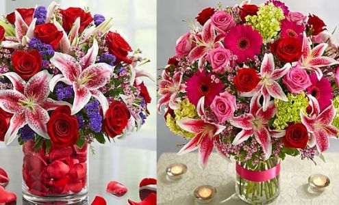 Wow Floral Design Studio