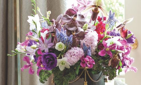 Michal Evans Designs & Decor