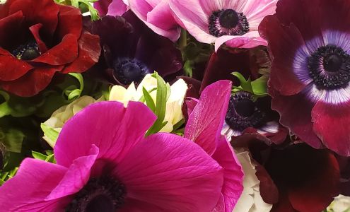 The Rose Petal Florist