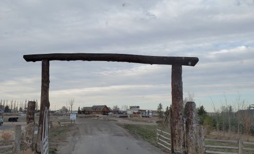 Lone Pine Landscaping & Tree Service