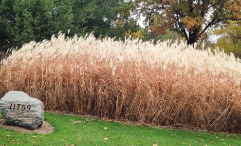 Ack Ack Nursery Company