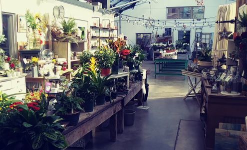 Hilltop Florist & Greenhouse