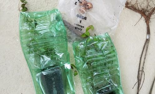 Four Seasons Nurseries