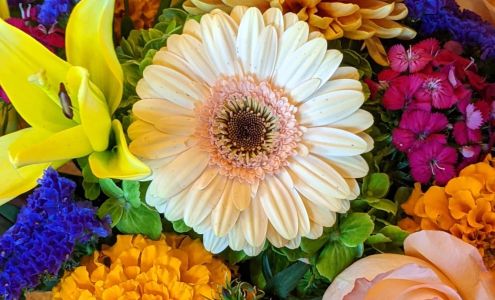 Steuber Florist & Greenhouses