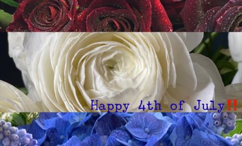 Oliver Dogwood Floral Co