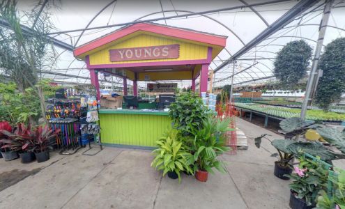 Young's Greenhouse & Flower Shop